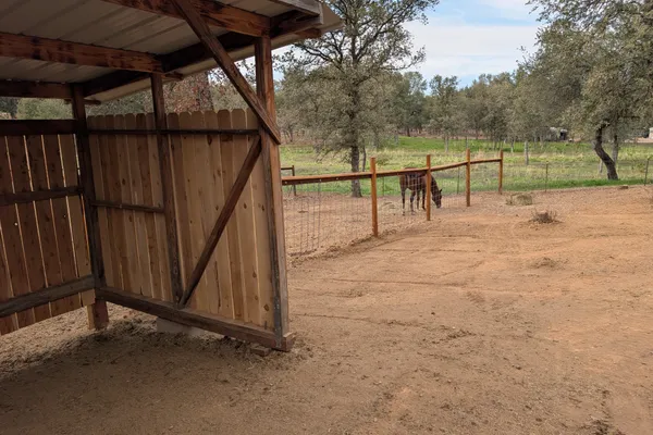 Horse grazing in turnout next to a shelter
