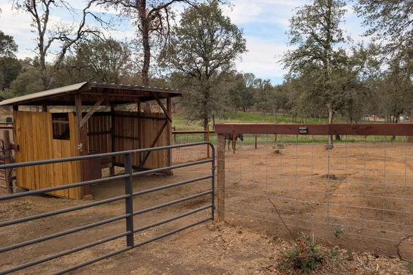 Horse shelter and turnout pen with a horse in the background
